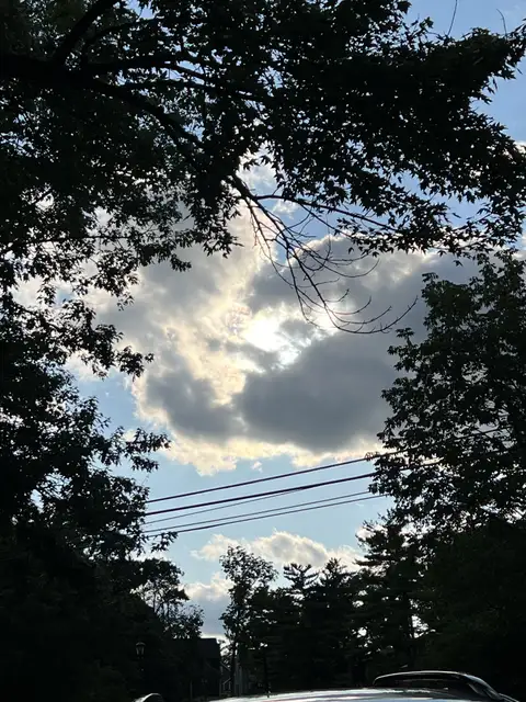 Nature's frame for a radiant sky.